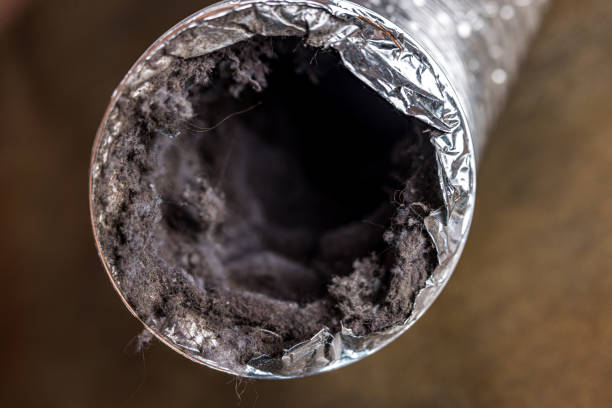 Best HVAC Duct Inspection Services  in Three Forks, MT